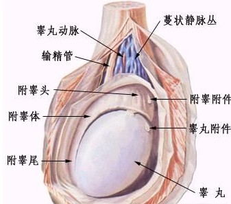 比较好的男性专科医院