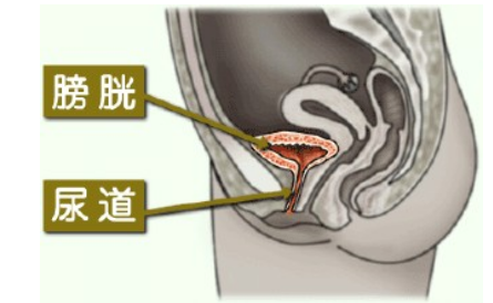 成都治疗膀胱炎医院